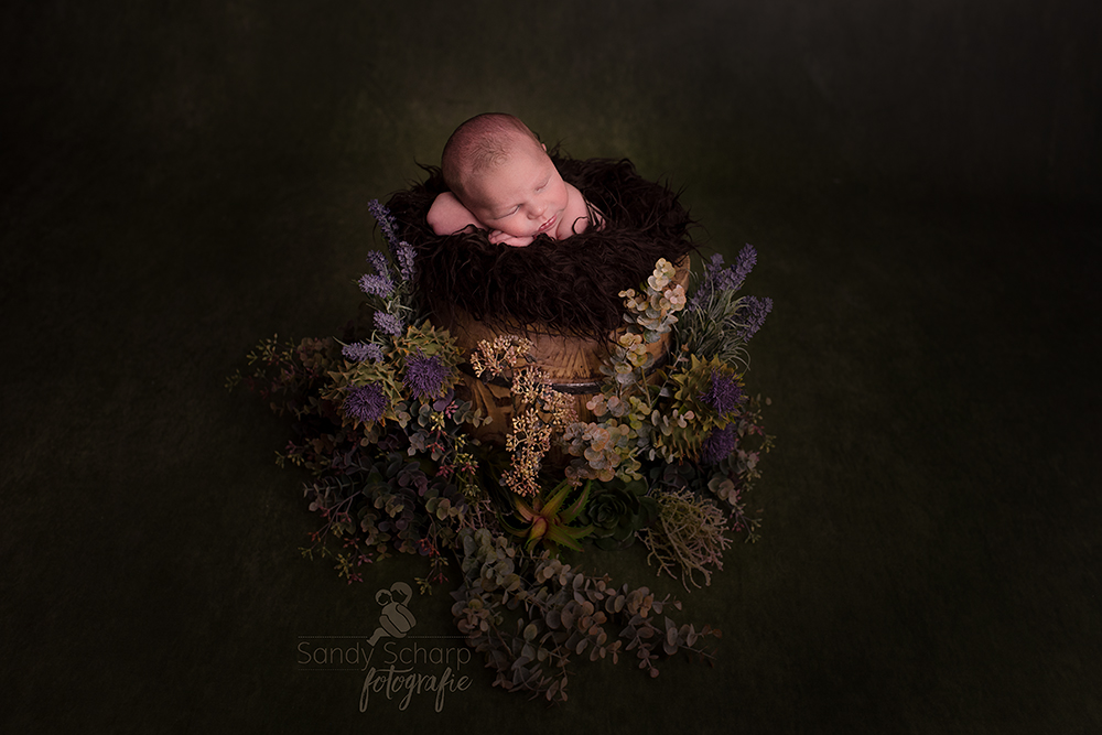 Newbornfotografie Zwickau im Fine-Art-Stil