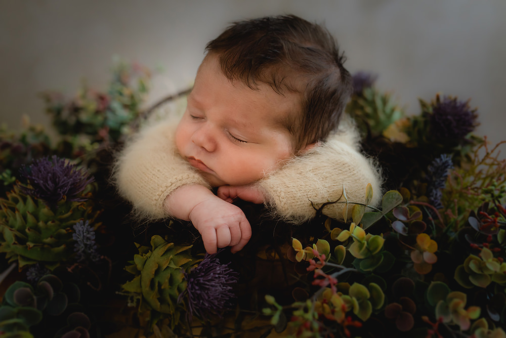 Babyfotografie und Newbornfotografie in Zwickau, Chemnitz und Erzgebirge